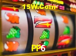 PP6 - Support