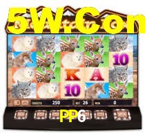 PP6